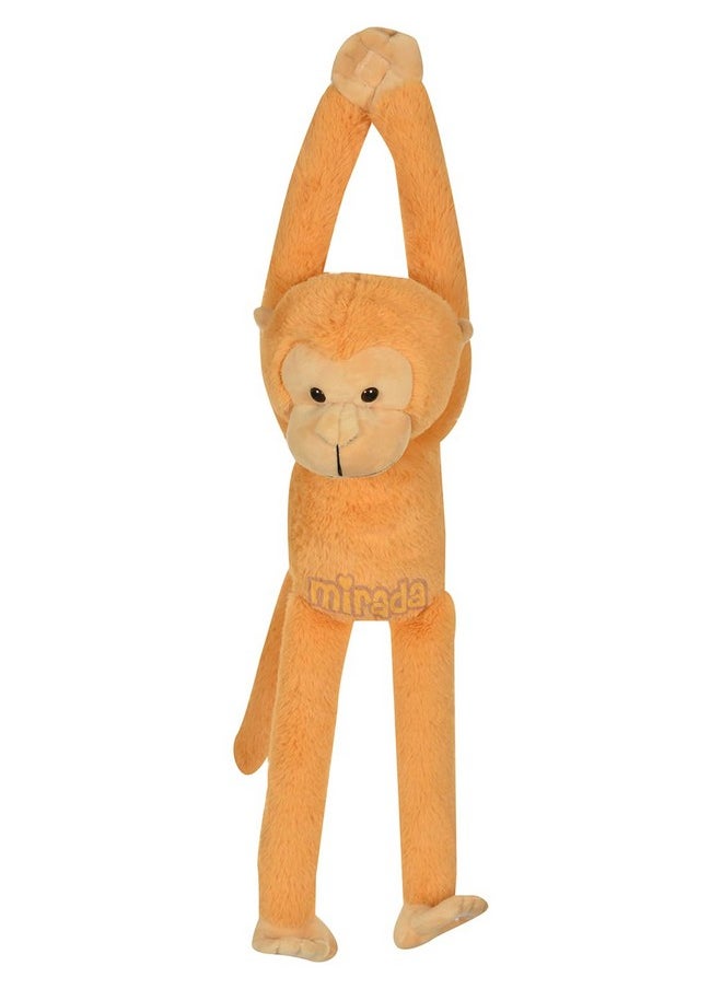 Cute Brown Hanging Monkey Soft Toy For Boy/Girls/Kids | Stuffed Plush Animal | - 52Cm