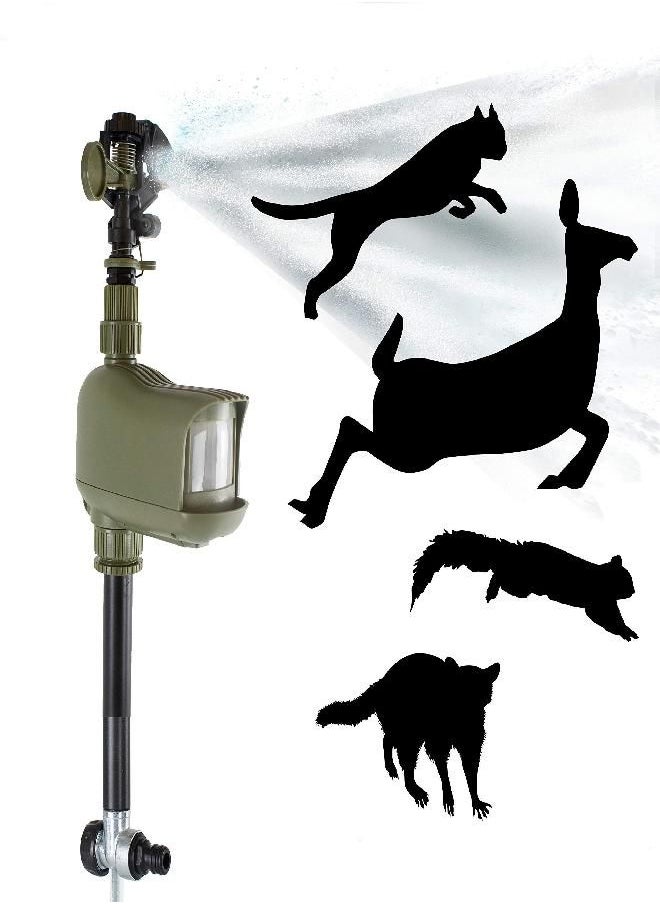 Havahart 5277 Critter Ridder Motion Activated Animal Repellent and Sprinkler - Repel Cats, Dogs, Chipmunks, Groundhogs, Squirrels, Skunks, Deer, and More