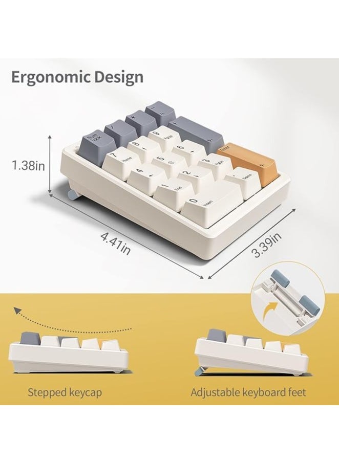 Numeric Keypad, Mechanical Numeric Keypad, Wired USB Standard 17-Key Numeric Keypad with PBT Keycaps, White Backlit Keyboard (Brown Switches)