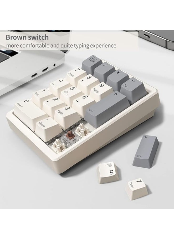 Numeric Keypad, Mechanical Numeric Keypad, Wired USB Standard 17-Key Numeric Keypad with PBT Keycaps, White Backlit Keyboard (Brown Switches)