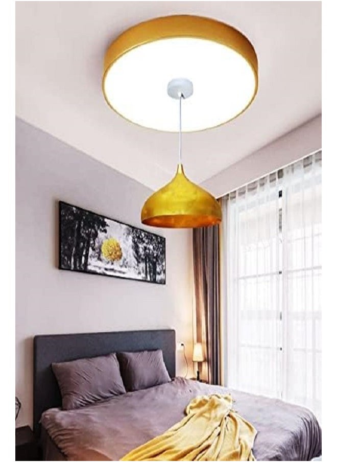 FazNova Modern Ceiling Chandelier Pendant Light |  Diameter Banda | Adjustable Hanging Pendant | Base Banda | Multiple Color Options (No Bulb)