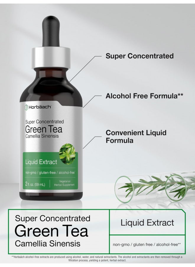 Horbäach Green Tea Extract Liquid | 2 Fl Oz | Alcohol Free, Vegetarian Tincture | Super Con Centrumrated Supplement | Non Gmo, Gluten Free