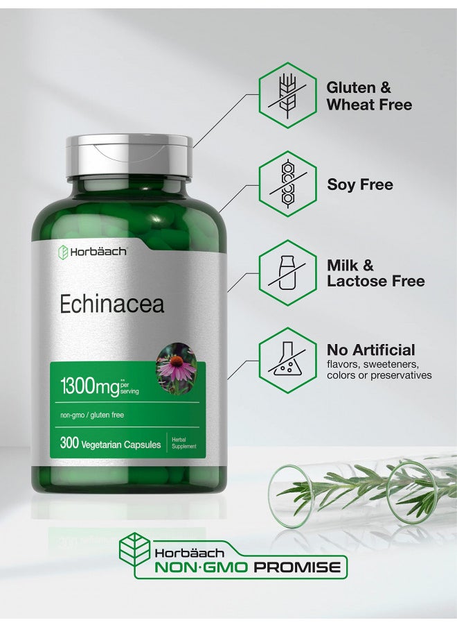 Horbäach Echinacea Extract Capsules 1300Mg | 300 Count | Vegan, Non Gmo, Gluten Free Supplement