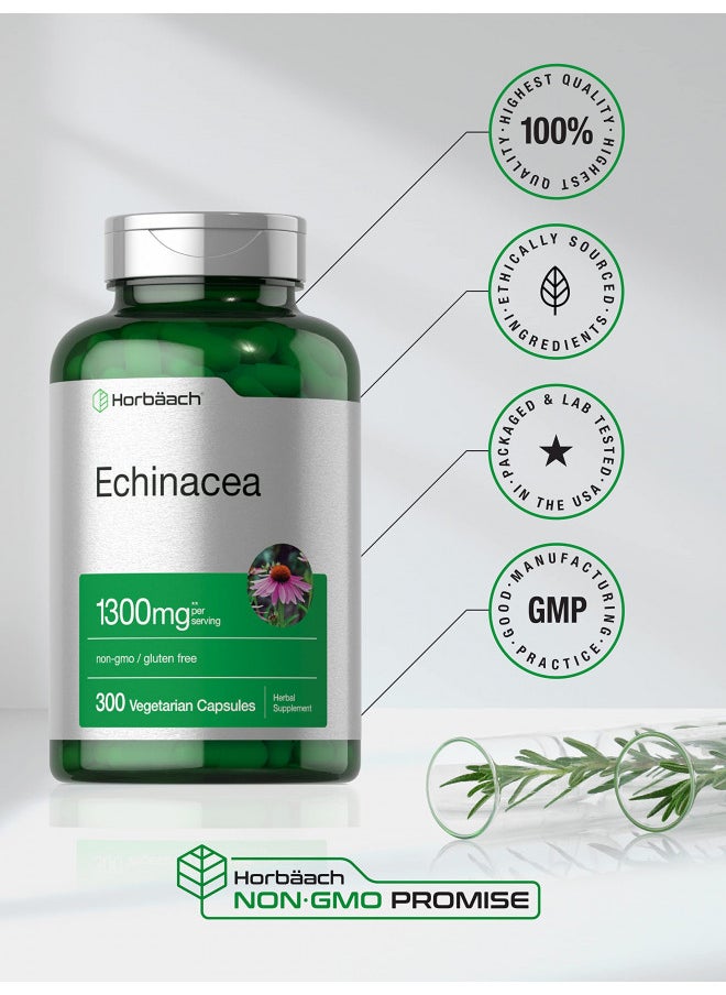 Horbäach Echinacea Extract Capsules 1300Mg | 300 Count | Vegan, Non Gmo, Gluten Free Supplement