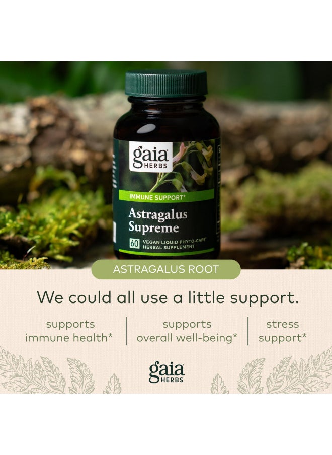 Gaia Herbs Astragalus Supreme   Immune and Antioxidant Support Herbal Supplement   With Astragalus Root, Schisandra Berry, and Ligust    120 Vegan Liquid Phyto Capsules (30 Day Supply)