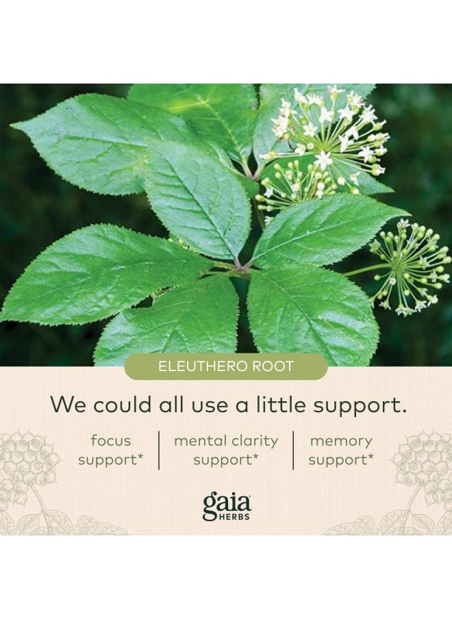 Gaia Herbs Mental Alertness   Brain Support Supplement To Help Maintain Focus & Memory   With Eleuthero, Ginkgo Leaf, Gotu Kola, Rosemary & Oats   60 Vegan Liquid Phyto Capsules (15 Day Supply)