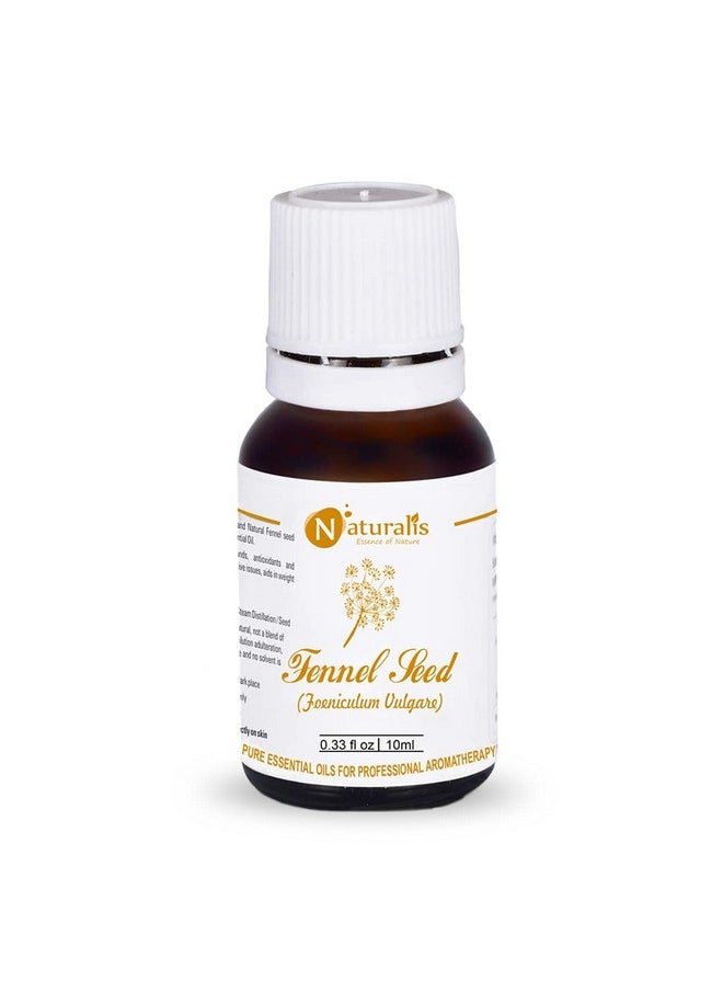 Essence Of Nature Fennel Seed Essential Oil, Natural & Therapeutic Grade For Skin Care, Anti Aging, Hair Growth - 10Ml