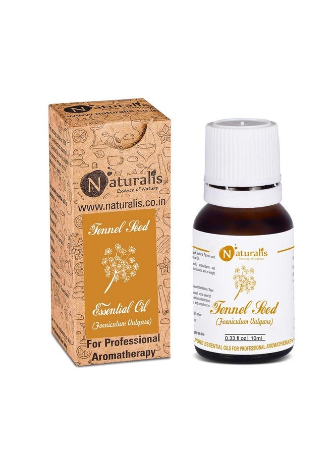 Essence Of Nature Fennel Seed Essential Oil, Natural & Therapeutic Grade For Skin Care, Anti Aging, Hair Growth - 10Ml