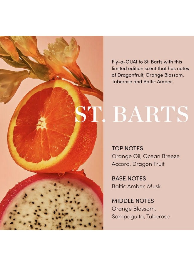 Body Cleanser, St. Barts - Foaming Body Wash With Jojoba Oil And Rosehip Oil To Hydrate, Nurture, Balance And Soften Skin - Paraben, Phthalate And Sulfate Free Skin Care Products - 10 Oz