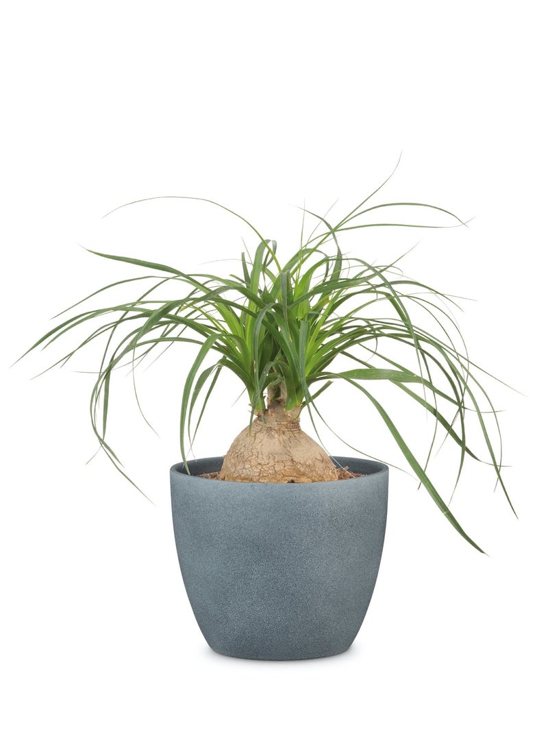 Stone Ceramic Plant Cover Pot (25 cm)