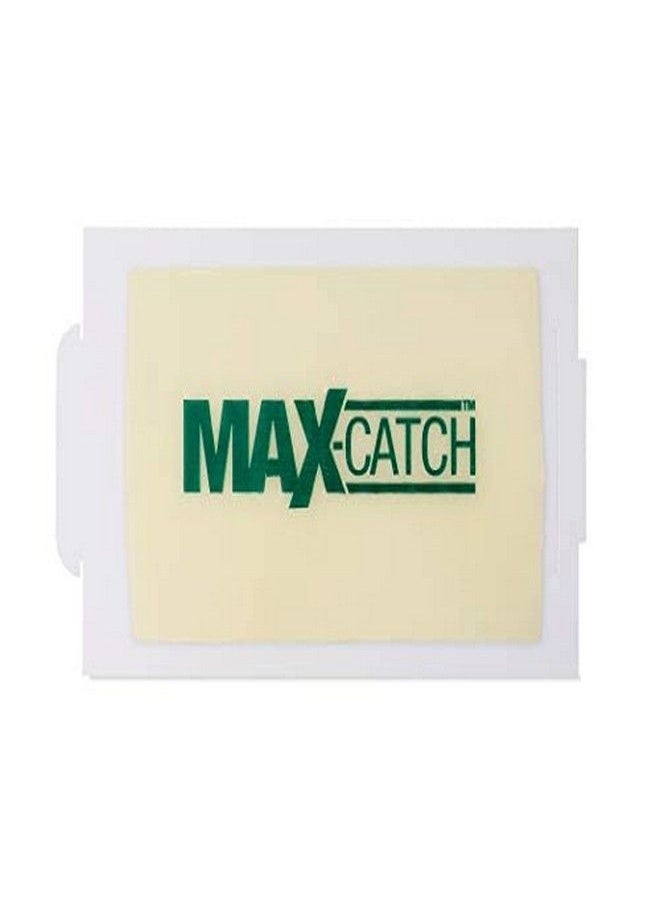 Catchmaster 72MAX Pest Trap, 36Count, White