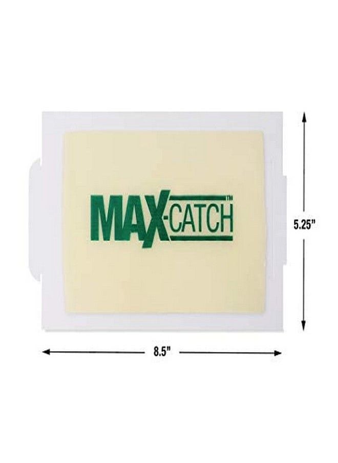 Catchmaster 72MAX Pest Trap, 36Count, White