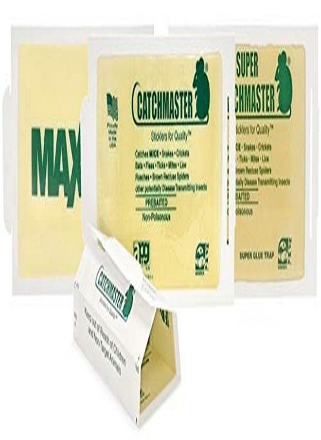 Catchmaster 72MAX Pest Trap, 36Count, White