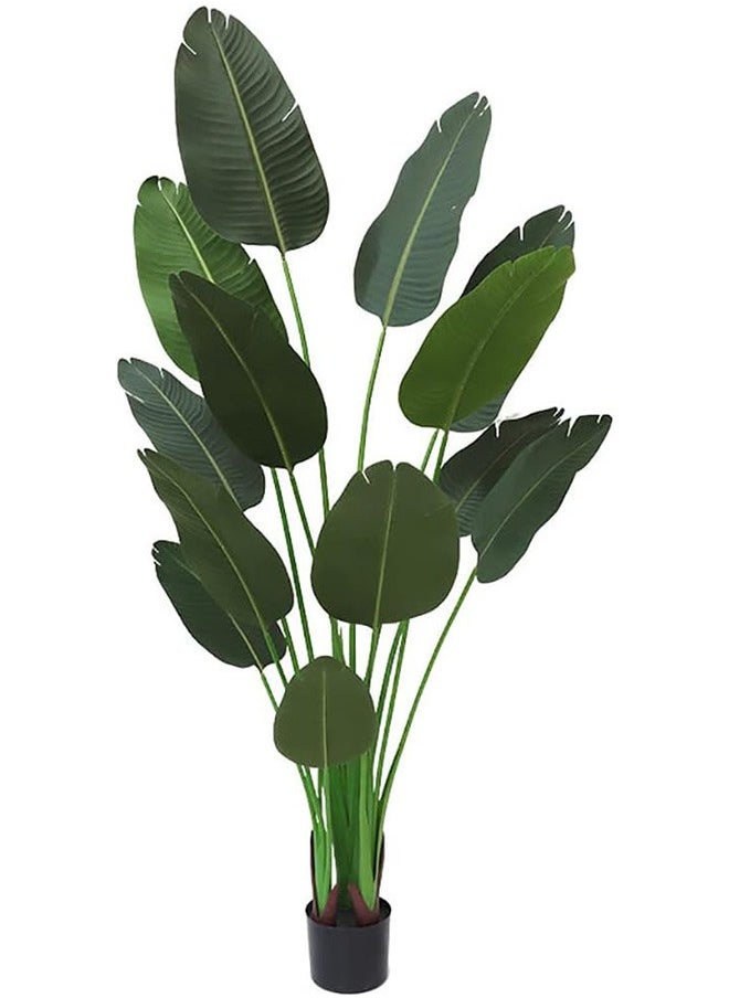 Green plants, potted plants, sturdy and adjustable Can be used for balcony, home office, floor, living room decoration
