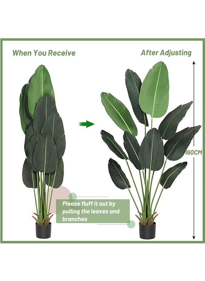 Green plants, potted plants, sturdy and adjustable Can be used for balcony, home office, floor, living room decoration