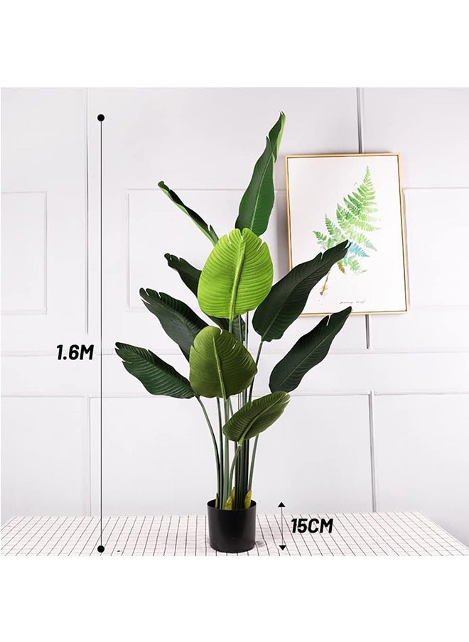 Green plants, potted plants, sturdy and adjustable Can be used for balcony, home office, floor, living room decoration