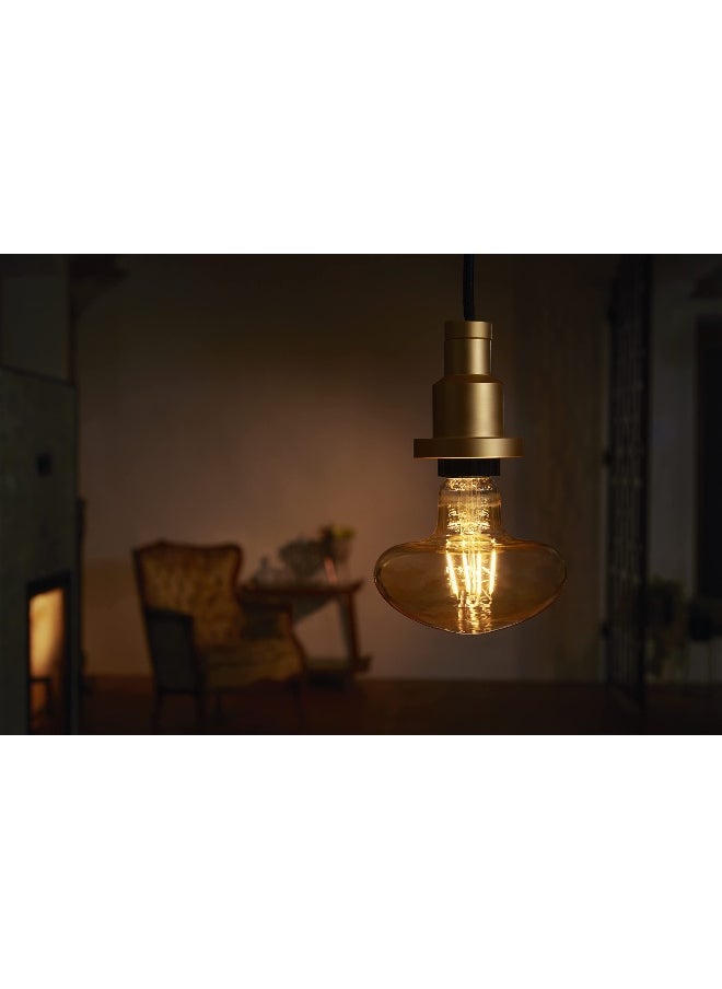 Vintage 1906 Pendulum Lamp