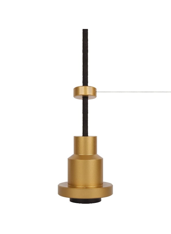 Vintage 1906 Pendulum Lamp