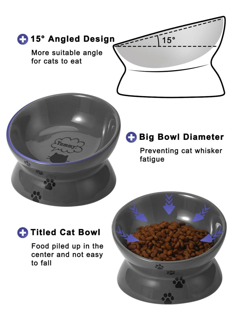 Ceramic Raised Pet Bowl