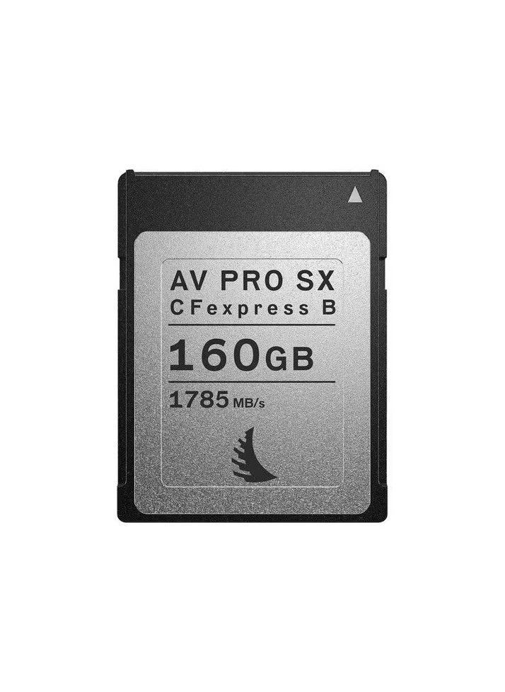 AV PRO CFexpress SX Type B 160 GB - AB-AVP160CFXBSX