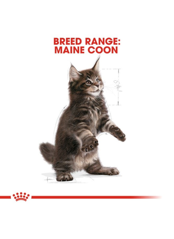 Feline Breed Nutrition Maine Kitten 2KG