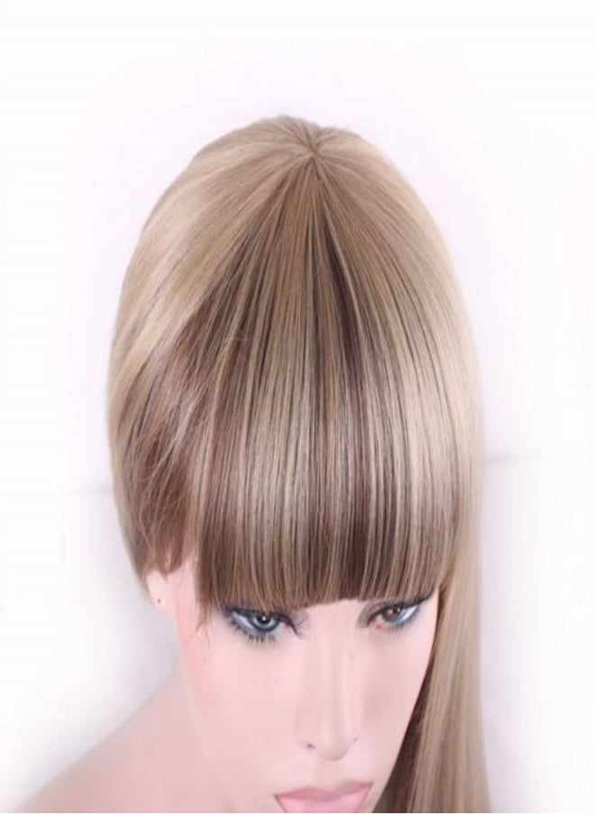 Fashion Long Hair Straight Wig