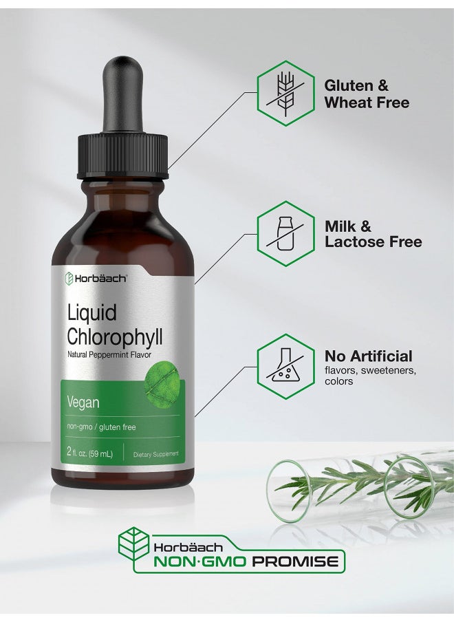 Horbäach Liquid Chlorophyll Drops | 2 Oz | Vegan, Non Gmo, and Gluten Free Formula | Natural Peppermint Flavor