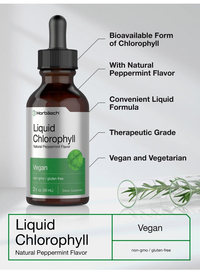 Horbäach Liquid Chlorophyll Drops | 2 Oz | Vegan, Non Gmo, and Gluten Free Formula | Natural Peppermint Flavor