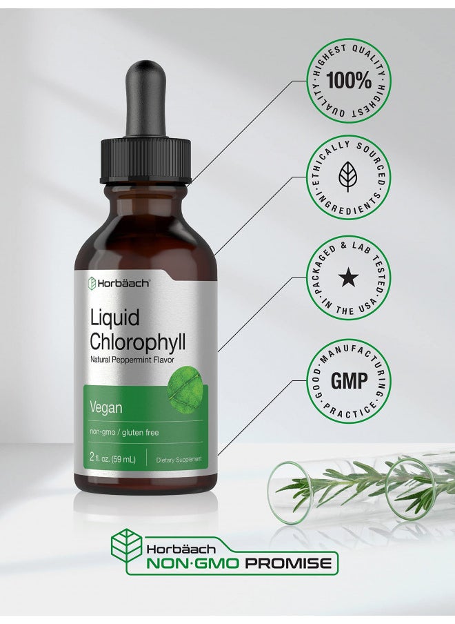 Horbäach Liquid Chlorophyll Drops | 2 Oz | Vegan, Non Gmo, and Gluten Free Formula | Natural Peppermint Flavor