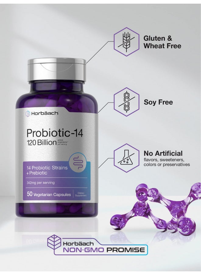 Horbäach Probiotics 120 Billion Cfu | 14 Strains With Prebiotics | For Women & Men | 50 Capsules | Vegetarian, Non Gmo & Gluten Free Supplement