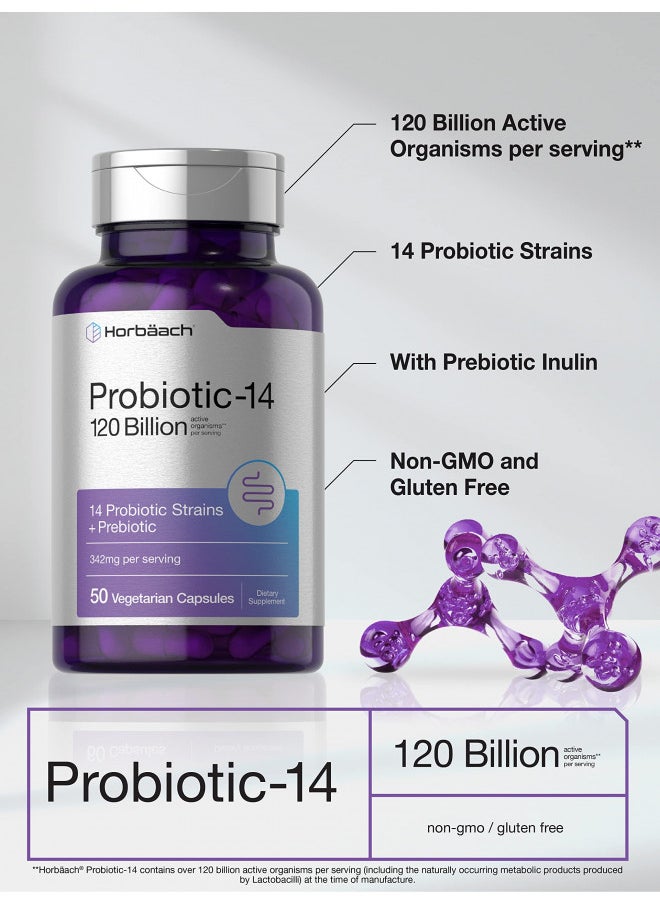 Horbäach Probiotics 120 Billion Cfu | 14 Strains With Prebiotics | For Women & Men | 50 Capsules | Vegetarian, Non Gmo & Gluten Free Supplement