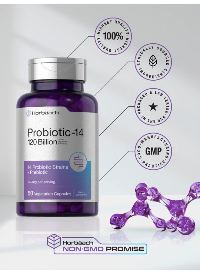 Horbäach Probiotics 120 Billion Cfu | 14 Strains With Prebiotics | For Women & Men | 50 Capsules | Vegetarian, Non Gmo & Gluten Free Supplement