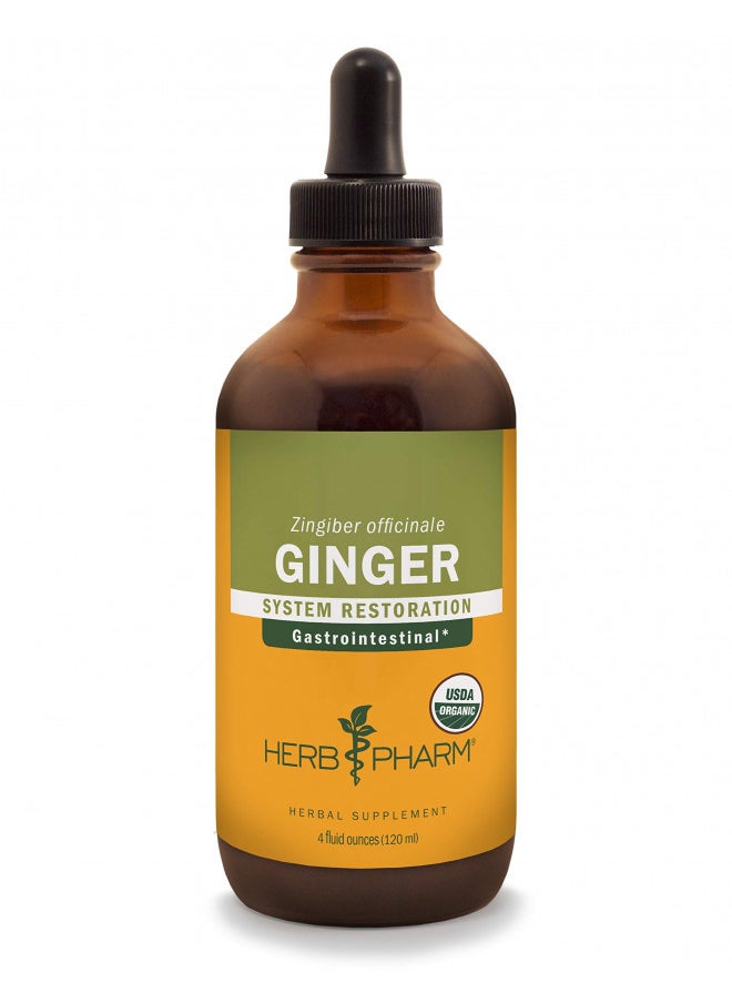 Herb Pharm Certified Organic Ginger Liquid Extract For Digestive Support   4 Ounce