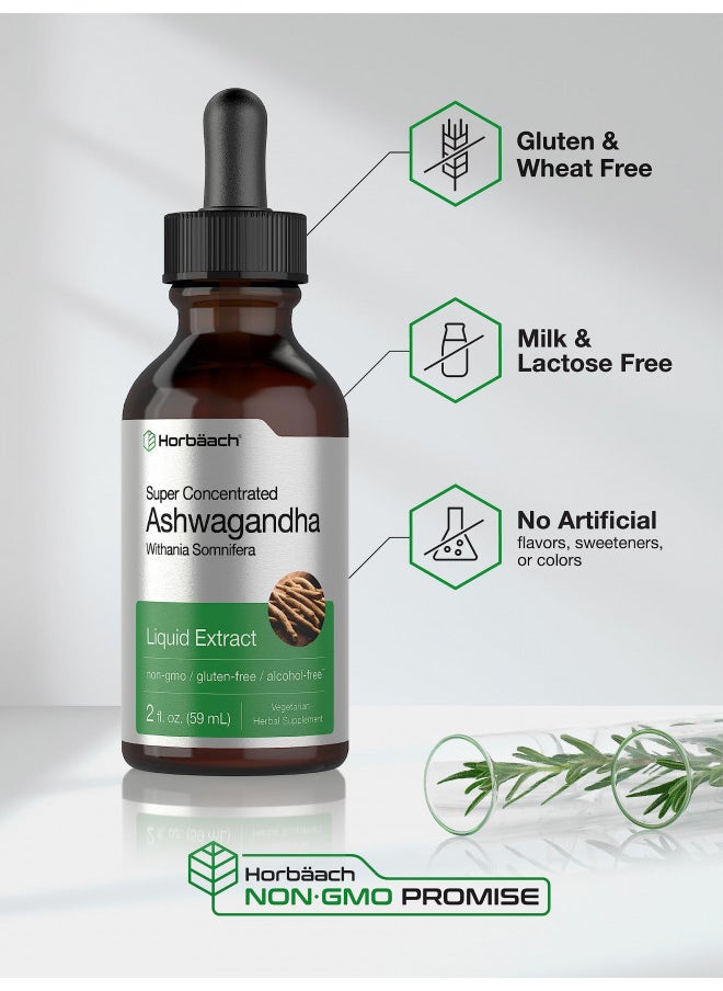 Horbäach Ashwagandha Root Liquid Extract | 2 Fl Oz | Alcohol Free Tincture | Vegetarian, Non Gmo, Gluten Free Supplement