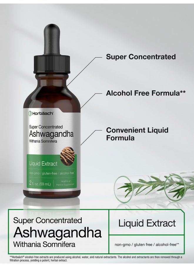 Horbäach Ashwagandha Root Liquid Extract | 2 Fl Oz | Alcohol Free Tincture | Vegetarian, Non Gmo, Gluten Free Supplement