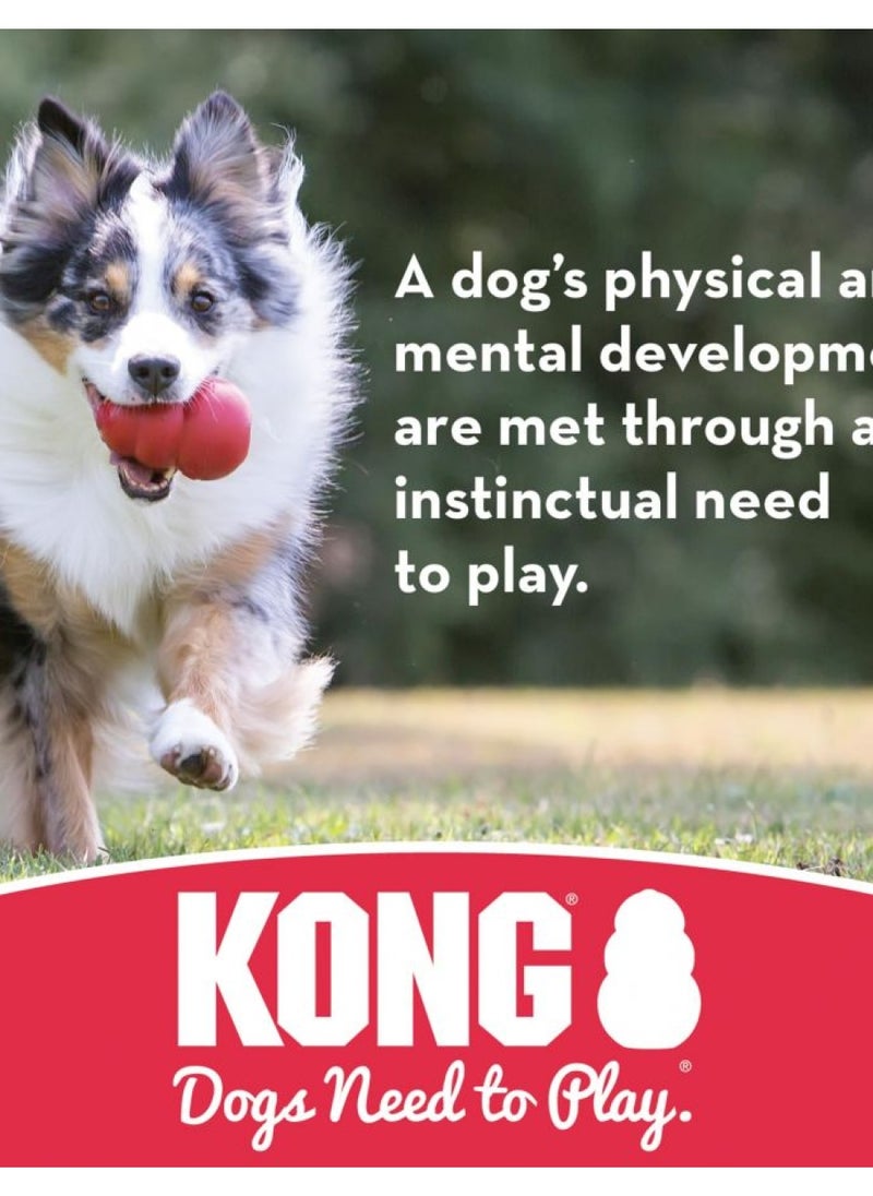 KONG - Ball with Hole - Durable Rubber, Fetch Toy - for Small Dogs