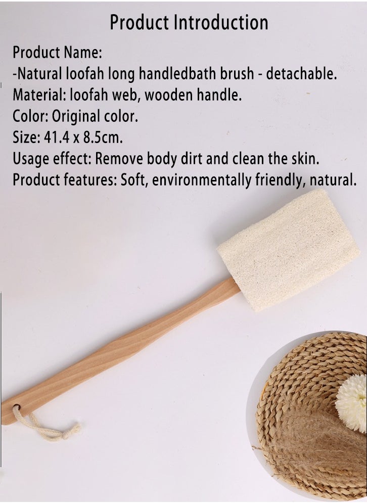 Shower with natural back brush, soft natural plant body brush, removable long handle, for male and female shower exfoliation