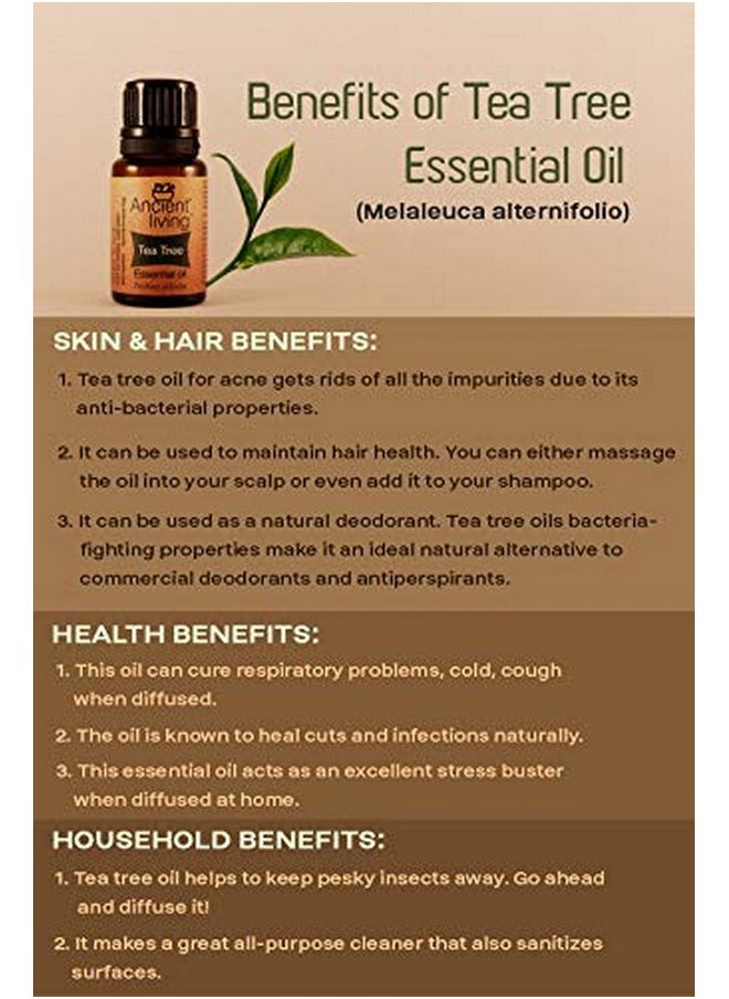 Organic Tea Tree Essential Oil - 10 Ml