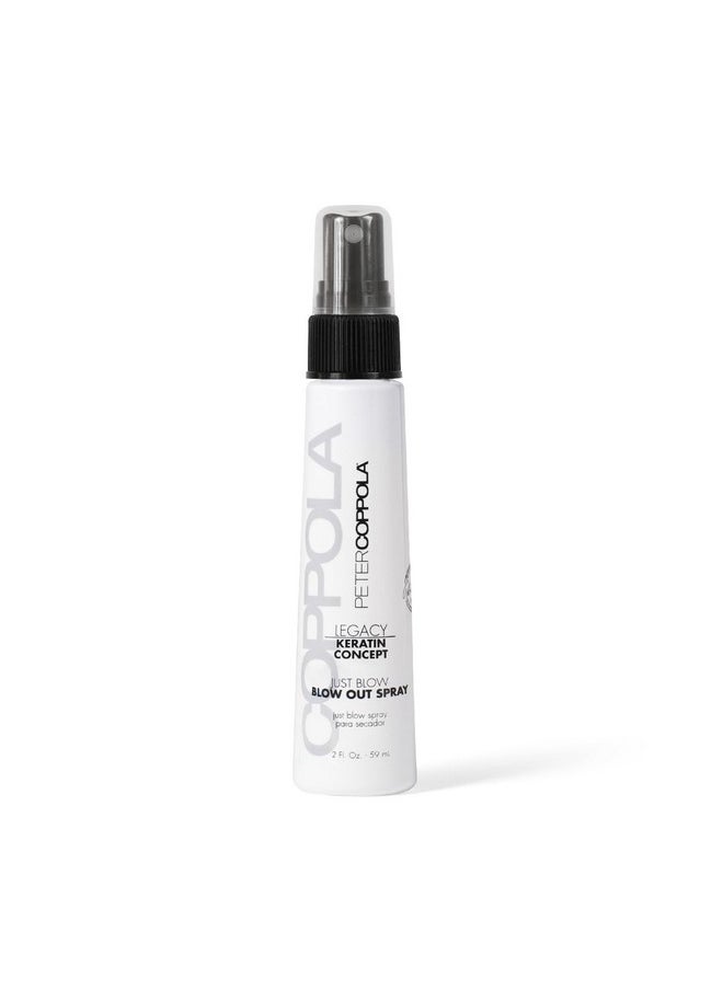 Just Blow - Heat Protectant Spray For Smoother, Straighter Hair - Reduces Blow Dry Time, Conditions And Adds Shine, Travel Size 2 Oz