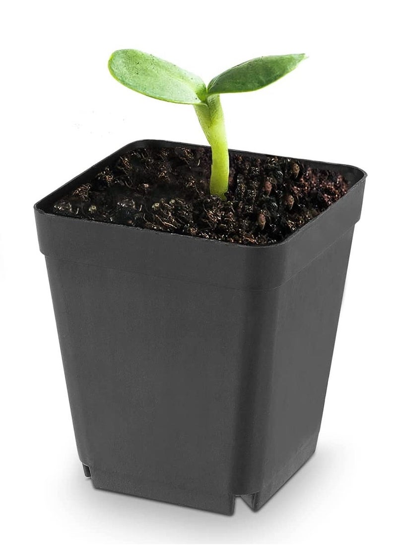 Plastic Square Nursery Pots 36Pcs 3 Inch Plant Seed Starting Pots with Drainage Hole and Saucers for Seedling, Container for Your Room, Garden Office and Balcony Decor, Black