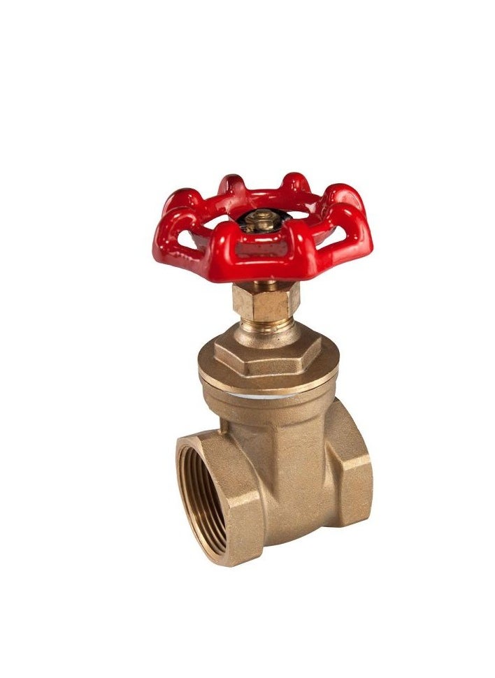 Low Lead Gate Valve (1.25'')