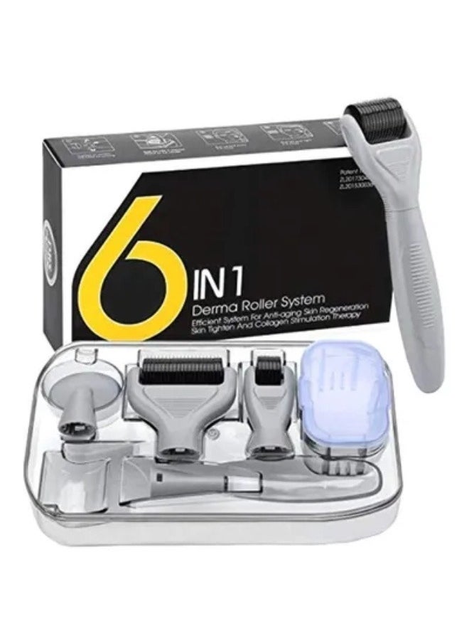 6-In-1 Derma Roller Kit
