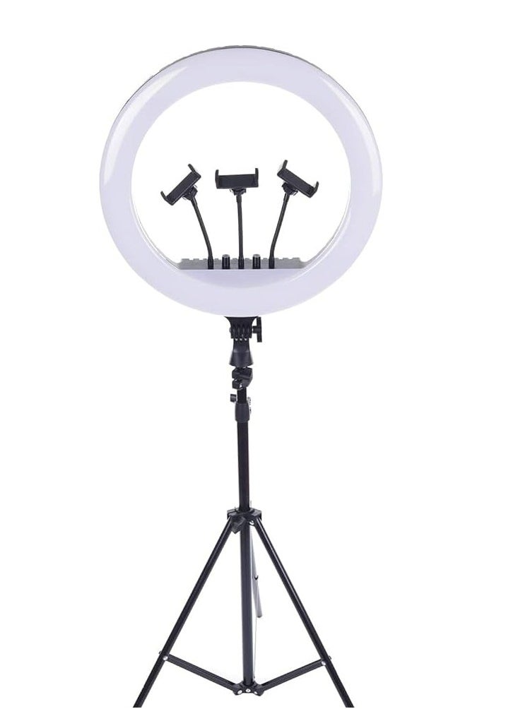 RL18 Inch Ring Light Tripod LED Soft Ring Light with Remote Control