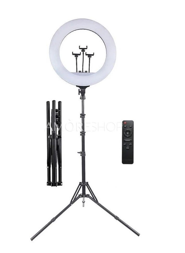 RL21 Inch Ring Light Tripod LED Soft Ring Light with Remote Control