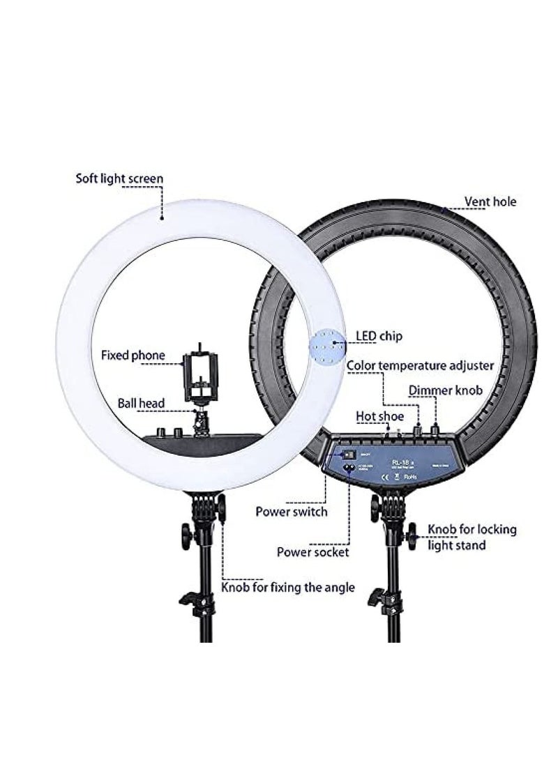 RL21 Inch Ring Light Tripod LED Soft Ring Light with Remote Control