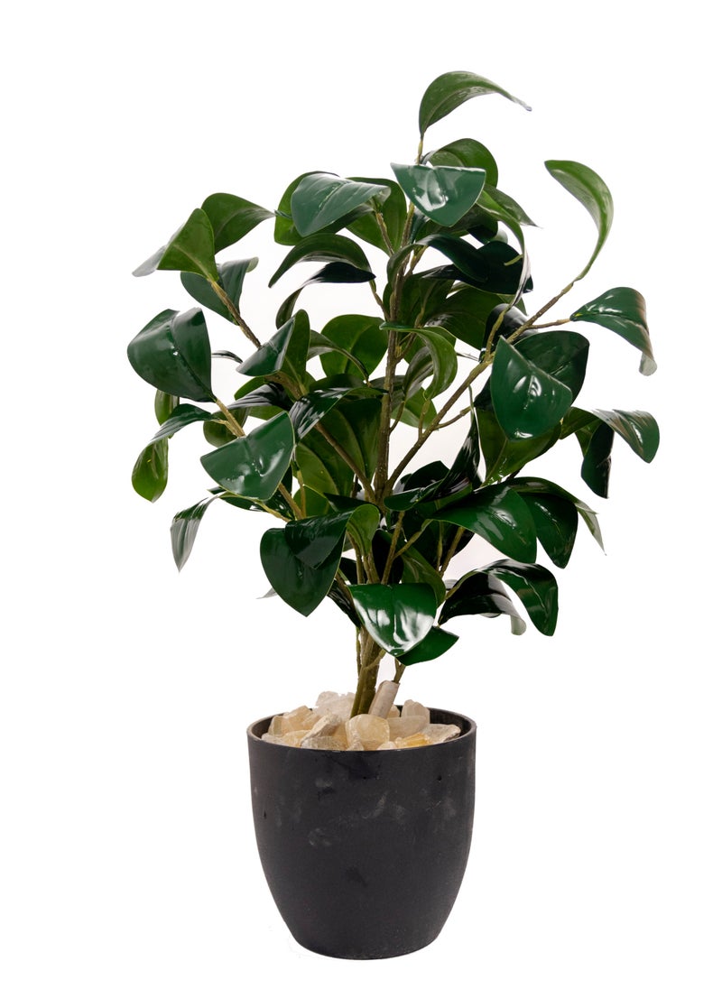 Artificial Tree 68  cm Tall Plant for Interior/Home/Office Décor, Living Room, Bedroom, Kitchen, Durable Plant with Basic Black Pot, Big Natural Looking