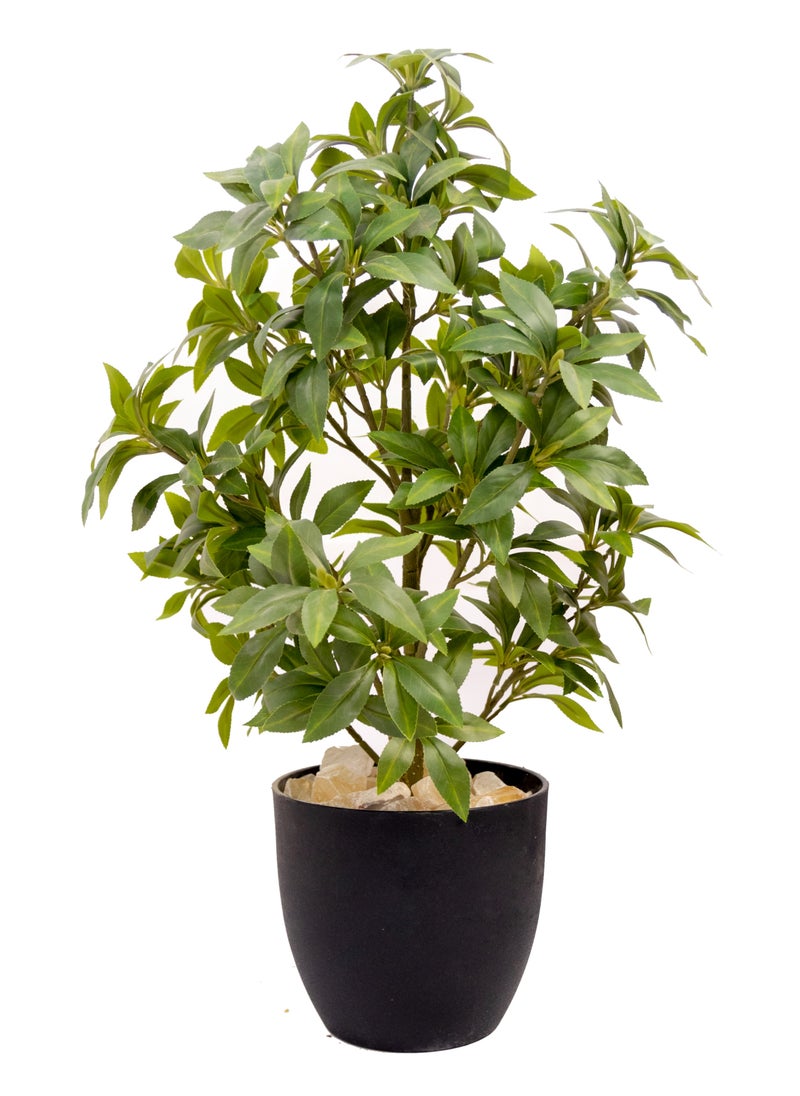 Artificial Tree 68  cm Tall Plant for Interior/Home/Office Décor, Living Room, Bedroom, Kitchen, Durable Plant with Basic Black Pot, Big Natural Looking