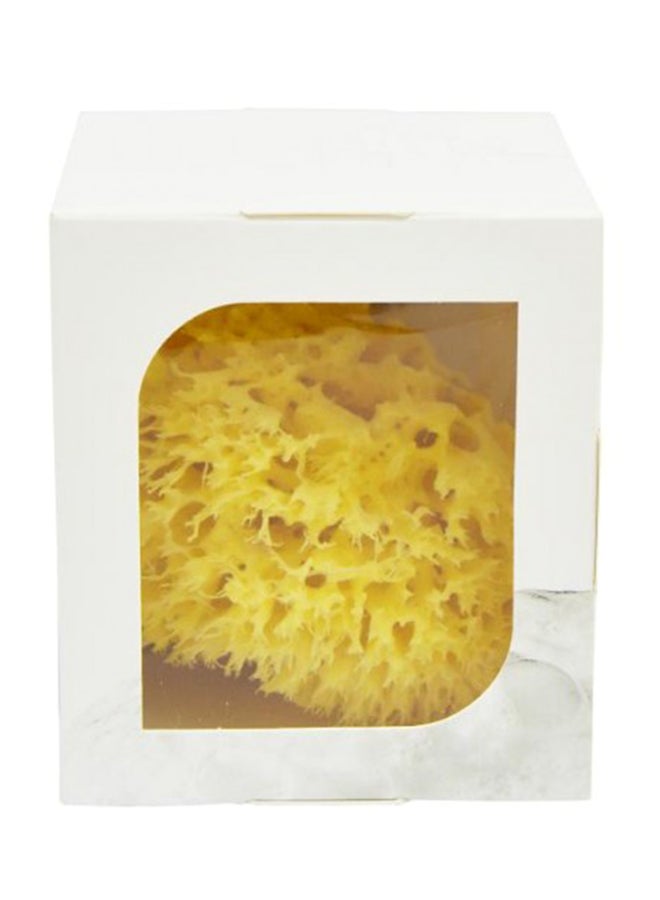 Honeycomb Bleached Synthetic Sponge