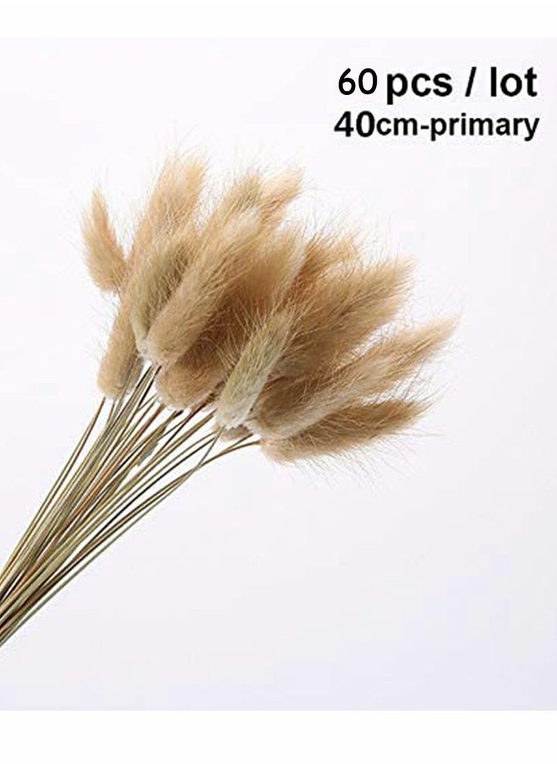 Dried Rabbit Tail Grass,  60 Pcs Natural Dry Grass Dried Flowers Bouquet, Wedding Dry Flower Bunch, for Home Garden Party Decor, Flower Arrangement