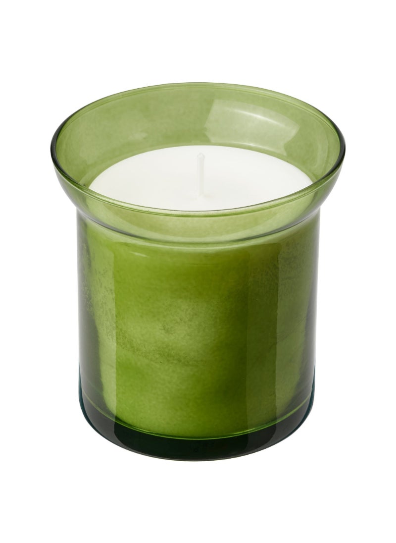 Scented Candle In Glass Fresh Grass/Light Green 50 Hr